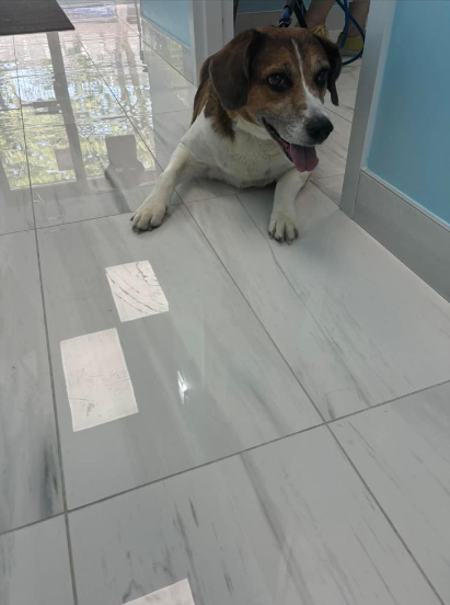 Patient 9